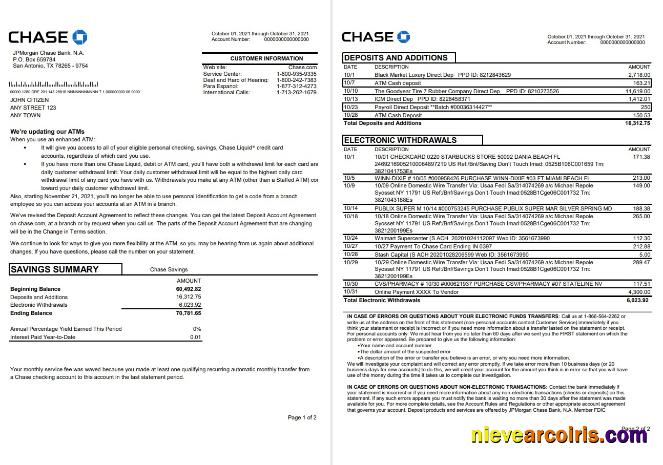 USA JPMorgan Chase 2 pages word